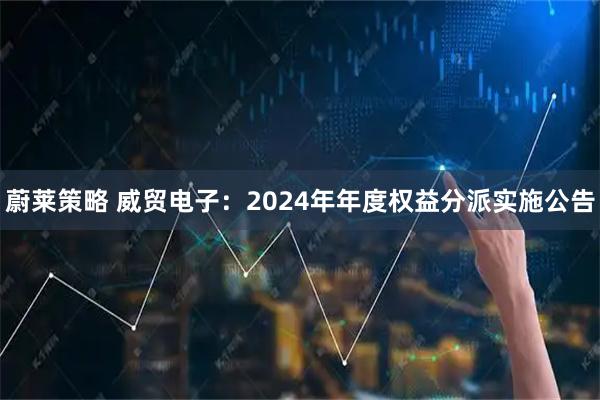 蔚莱策略 威贸电子：2024年年度权益分派实施公告