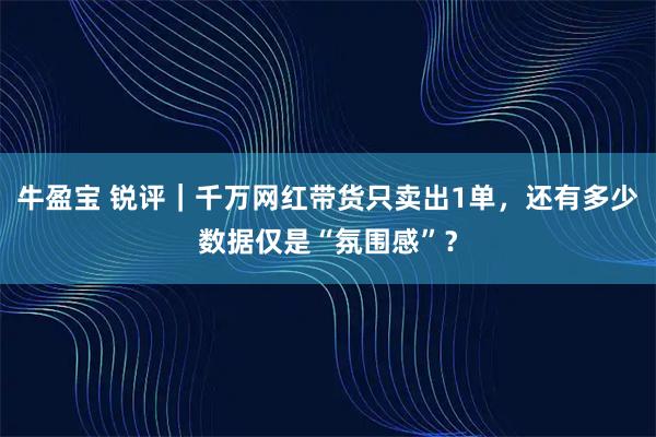 牛盈宝 锐评｜千万网红带货只卖出1单，还有多少数据仅是“氛围感”？