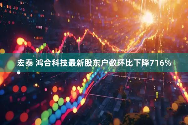 宏泰 鸿合科技最新股东户数环比下降716%