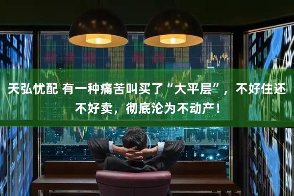 天弘忧配 有一种痛苦叫买了“大平层”,不好住还不好卖,彻底沦为不动产!